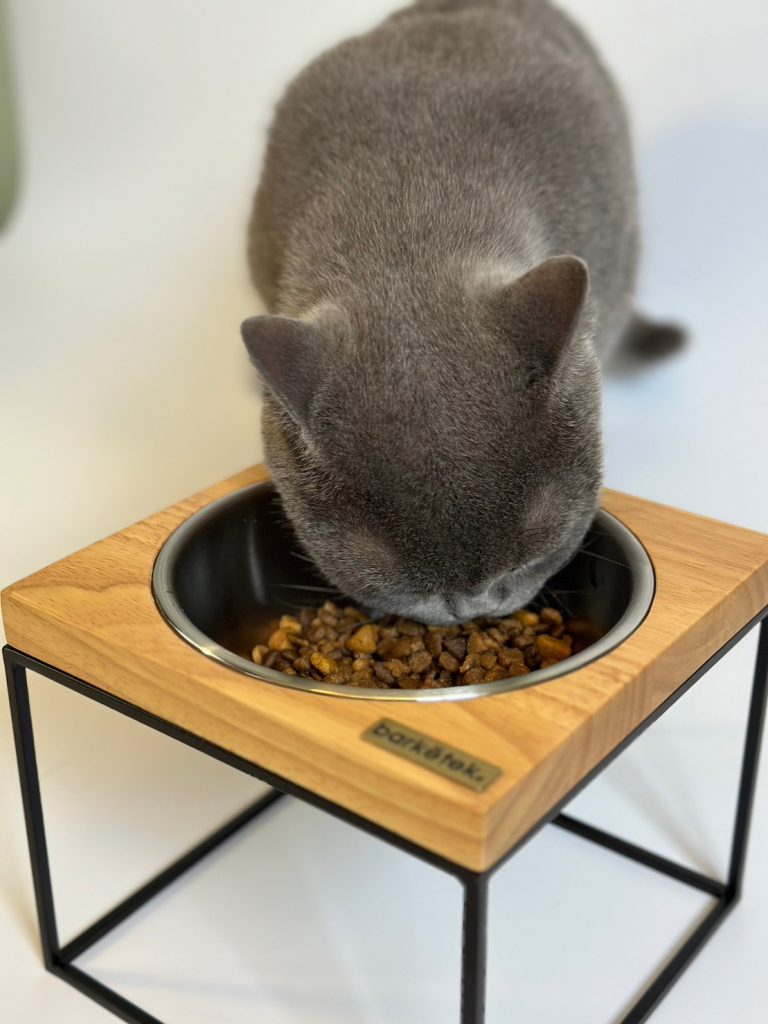 【中古】 ペットフードが危ない！/広文社/ペットの食事を考える会 Amazon.co.jp: 死を招く間違ったフード選び 本当は怖いペット